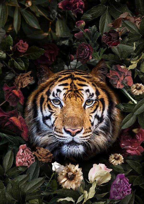 A tiger's face surrounded by colorful flowers, featured on the Tiger med blomster poster.
