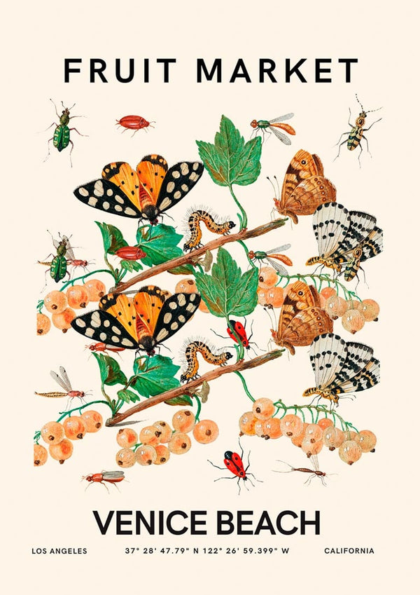 Colorful butterflies and insects on branches with berries, "Fruit Market Venice Beach" text above and below.