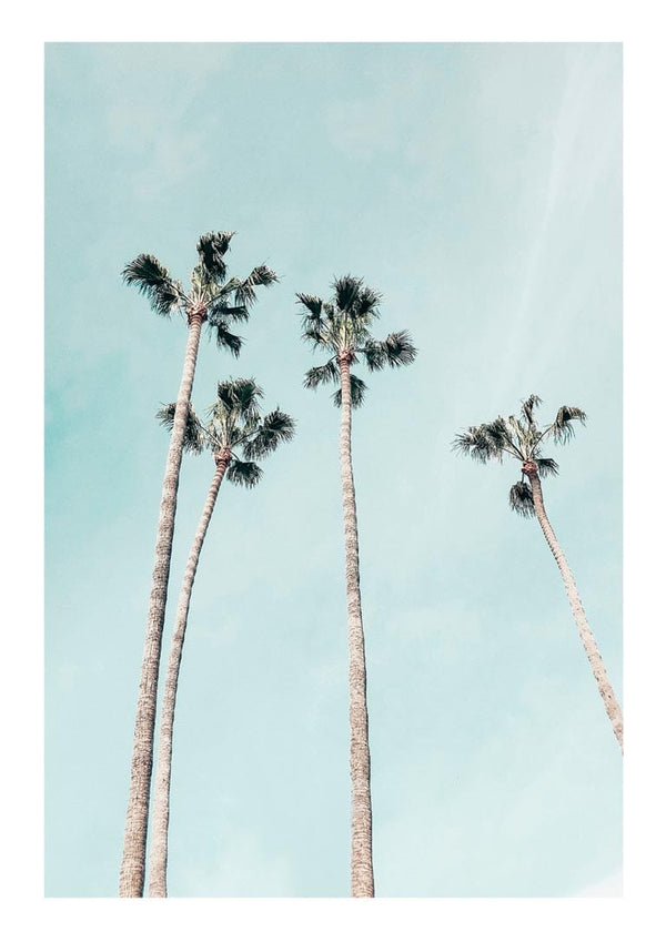 Tall palm trees against a pale blue sky, featured on the Tall Palms Plakat product page.