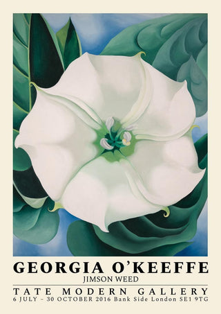 Poster of Georgia O’Keeffe’s “Jimson Weed” showing a large white flower with green leaves in the background.