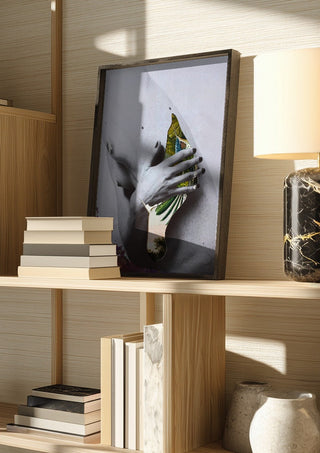 Duermen los volátiles by Rocio Montoya in a dark frame on a wooden shelf beside books and a lamp