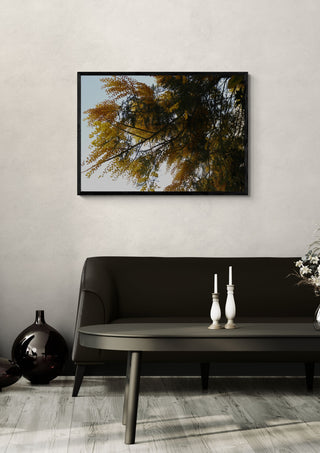 Acacia in Yellow by Elefteria in a black frame above a dark sofa with candlesticks on a round table