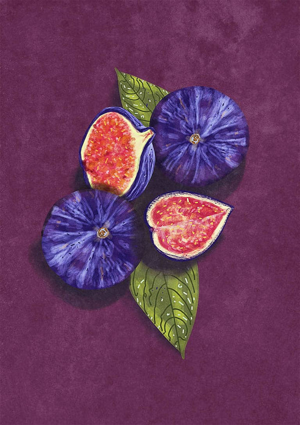Watercolor still life of whole and halved figs with green leaves on a purple background by Raissa Oltmanns.