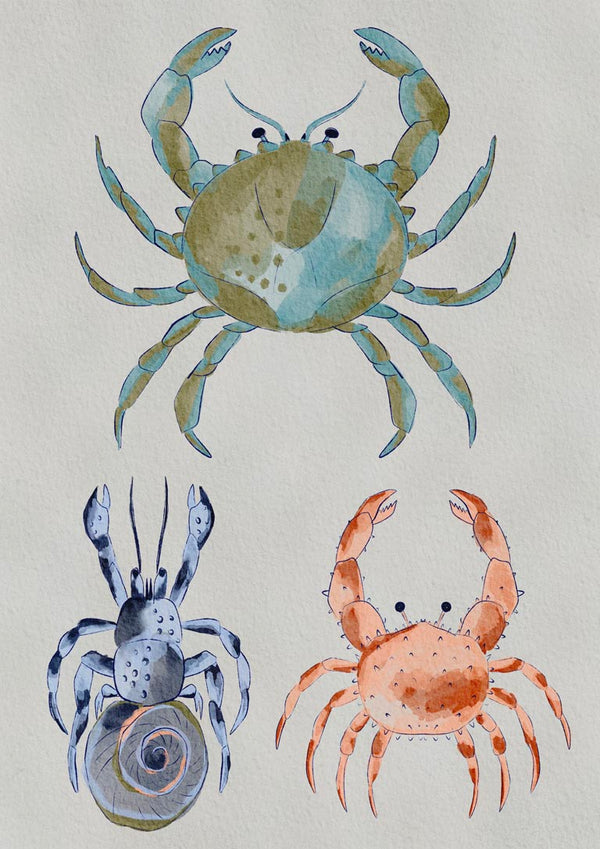 Crabes océaniques à l’aquarelle - Nikita Jariwala