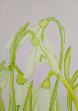 Bucaneve e steli verdi by Maria Emanuela Fiori - white snowdrops on green stems against pale lilac-grey