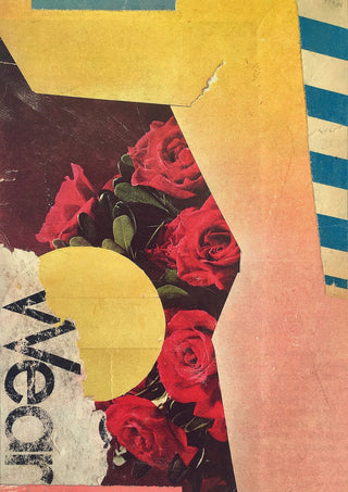 Roses by Kareem Rizk - a dark photograph of red roses under yellow shapes with a peach-to-pink panel