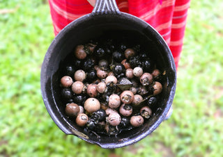 Dye with Ebony by Elefteria - a pot of black and pink ebony fruits held over green grass