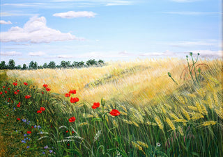 Summer by Juergen Duerrmann - red poppies along a ripening wheat field under a blue sky
