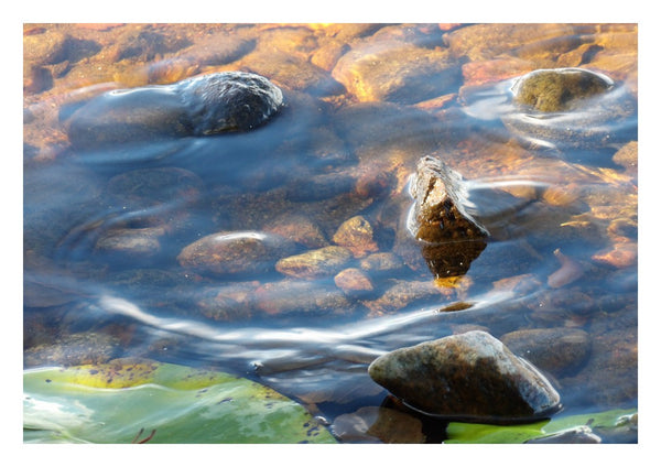 Sommar brus by Ljilja Marinic - sunlit water running over smooth stones with green lily pads