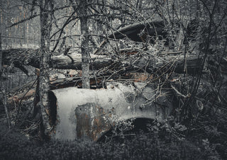 Decay (1) by Lone Gjessing - a car wreck buried under fallen trees in a grey-green forest