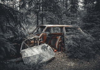 Decay (2) by Lone Gjessing - a rusted estate car with its door fallen off in a pine forest
