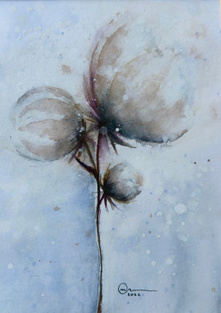 Cotton by Marina Agre - three cotton bolls on a dark stem against a pale blue-grey wash