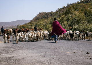 Leading us Home by Gloria Mwivanda - Maasai herders leading cattle and goats along a gravel road