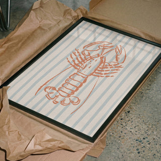 Homard rayé côtier - Katarzyna Gąsiorowska