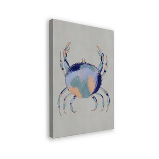 Rustige blauwe krab - Nikita Jariwala