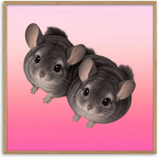 Two Chinchillas - Stidox