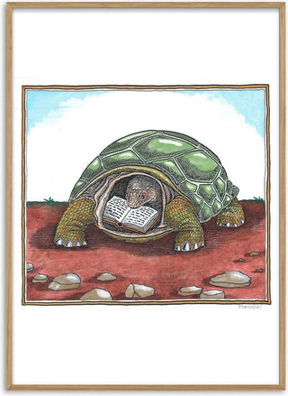 The Reading Tortoise - Waldemar Mandzel