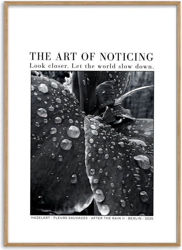after the rain II by hazelart - raindrops beaded on dark leaves in black and white under the words THE ART OF NOTICING