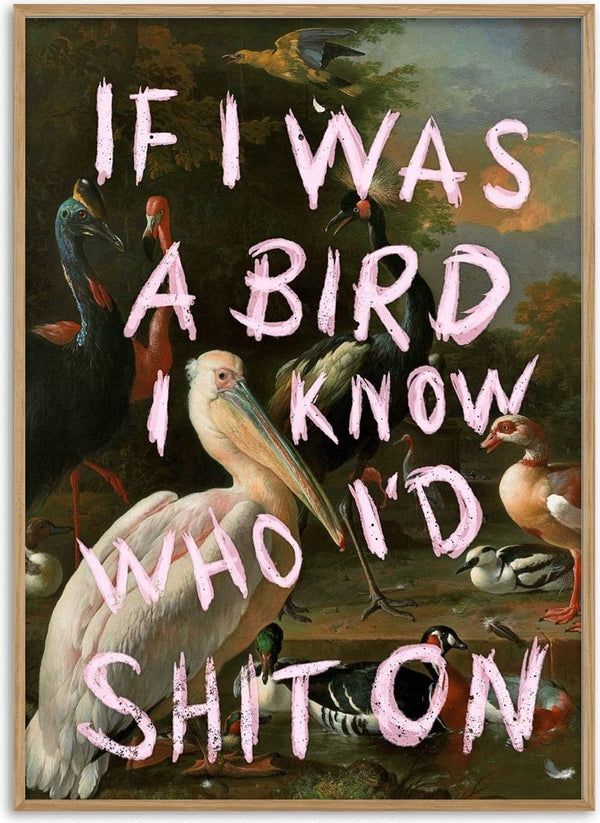 If I Was A Bird by Jonas Loose - pale pink capitals over an old master painting of pelicans, cranes and ducks