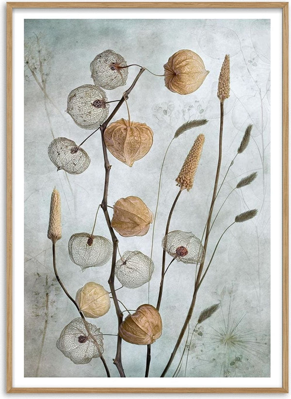 Delicate lantern-like seed pods and grasses arranged artistically against a soft, muted background.