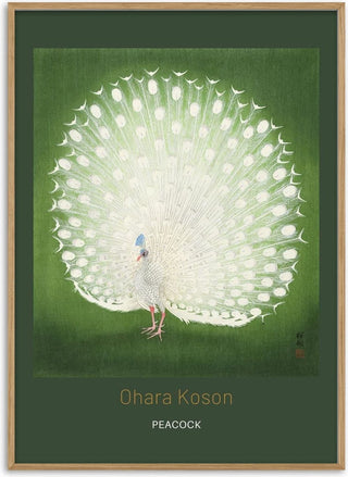 Peacock by Ohara Koson japansk kunstposter