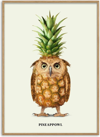 Pineappowl - Jonas Loose