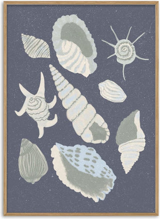 Seashells Collection - Aliya Putrus
