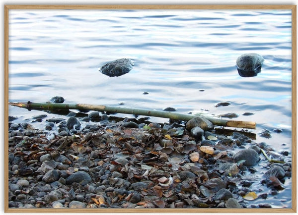 Sjöns puls by Ljilja Marinic - pale blue lake water above a shore of wet pebbles and leaves