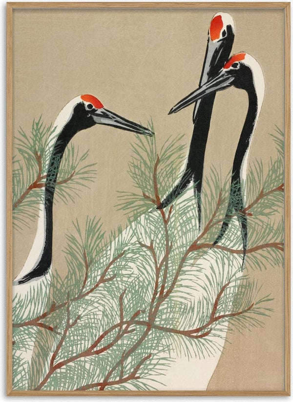 Three red-crowned cranes among green pine branches, Japanese art style from Traner fra Momoyogusa 1909 Plakat.