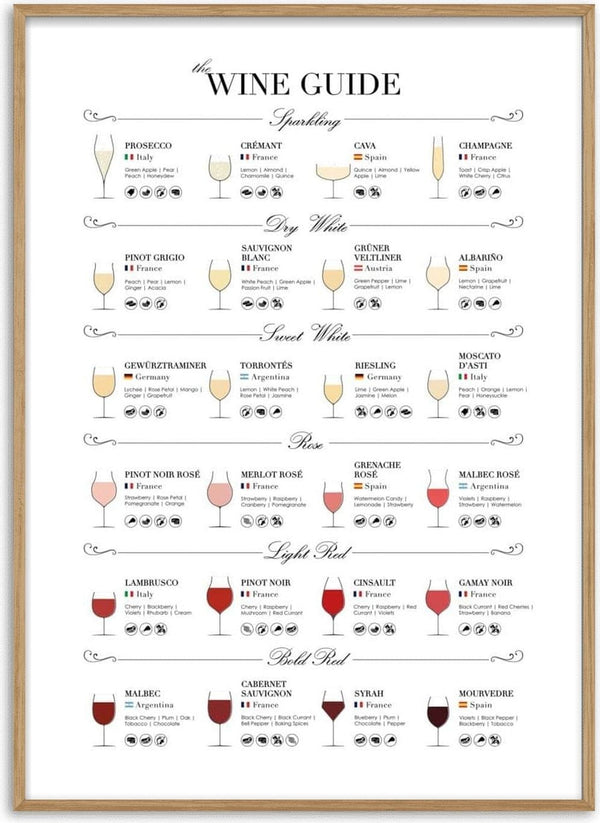 Wine guide poster displaying various wine types, glass shapes, and ideal food pairings.