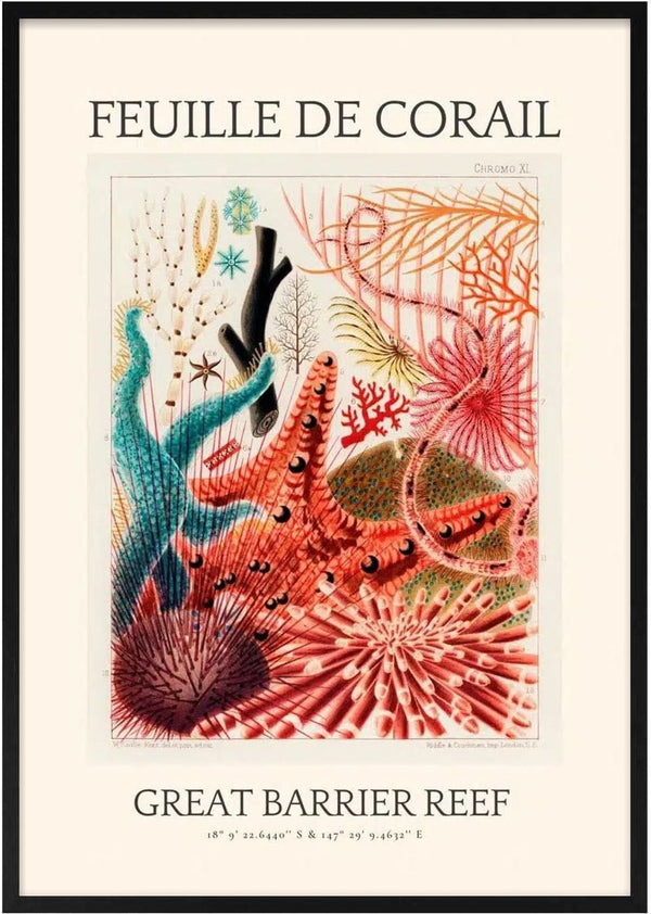 Vintage illustration of various colorful corals and sea plants, labeled "Great Barrier Reef" plakat.