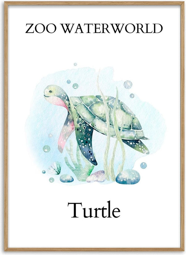 Watercolor illustration of a turtle swimming underwater with plants, featured on the Zoo Waterworld Turtle product page.